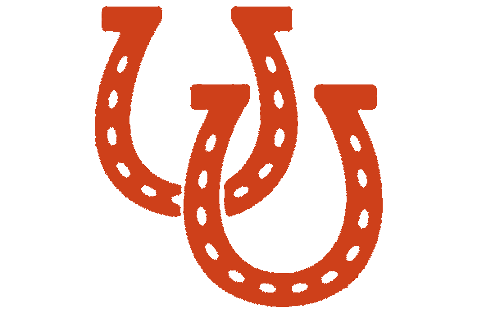 Rodeo Red's horseshoes